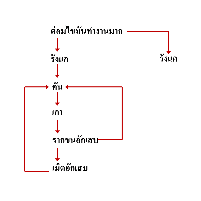 วงจรการเกิดปัญหาหนังศีรษะ พีคอสเมด Pcosmed ศูนย์รวมโซลูชั่นด้านผิวหนังครบวงจร