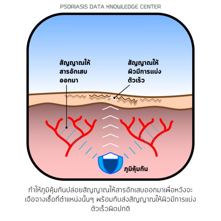 พีคอสเมด Pcosmed ศูนย์รวมโซลูชั่นด้านผิวหนังครบวงจร